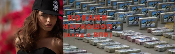 шишки Михайловск