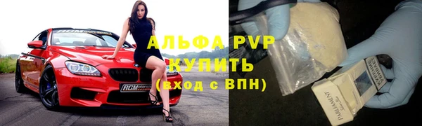 шишки Михайловск