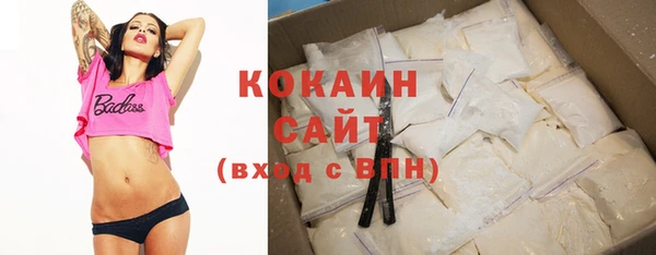 шишки Михайловск