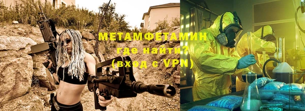 шишки Михайловск