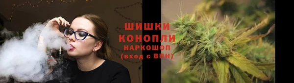 шишки Михайловск