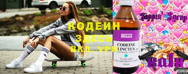 шишки Михайловск