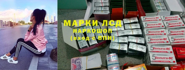 шишки Михайловск