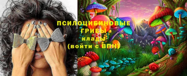 шишки Михайловск