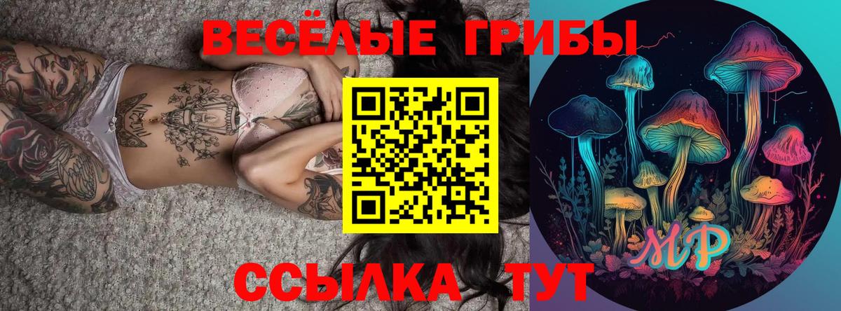 Псилоцибиновые грибы Psilocybe Северобайкальск