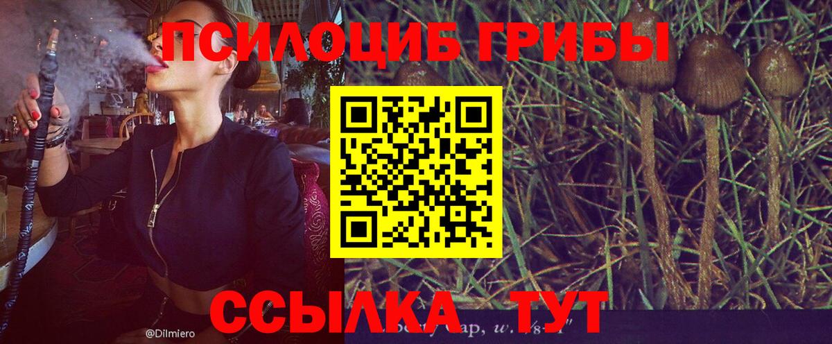 Псилоцибиновые грибы ЛСД Северобайкальск