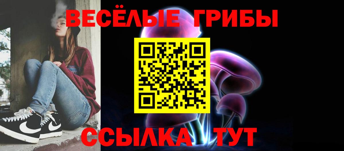 Галлюциногенные грибы Psilocybe  Северобайкальск 