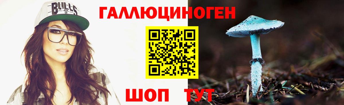 где купить наркотик  Вход с VPN  Северобайкальск  Галлюциногенные грибы Cubensis  Галлюциногенные грибы прущие грибы 